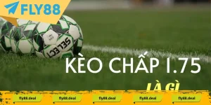 keo chap 175 khai niem